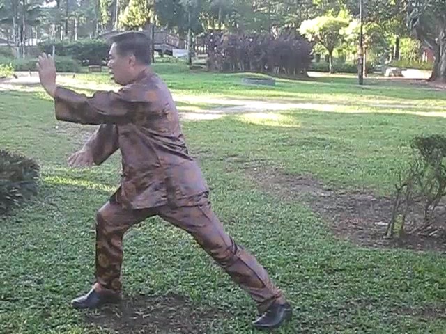 Wu Chuan You Style Taijiquan